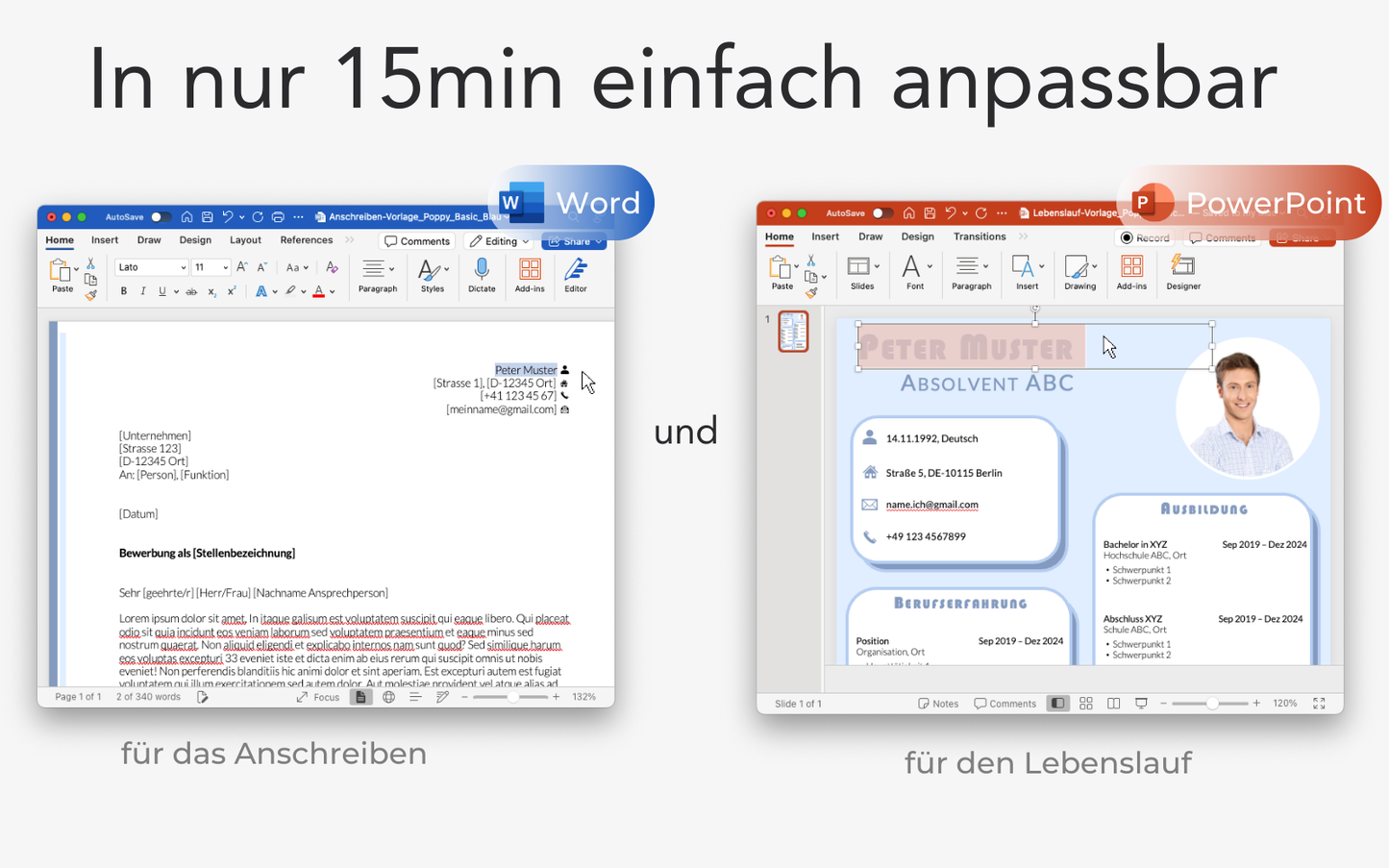 Bewerbungsvorlage POPPY Blau Lebenslauf CV für Word und PowerPoint für Einsteiger
